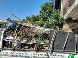 Best Same-Day Junk Removal Services  in Wesley Chapel, NC